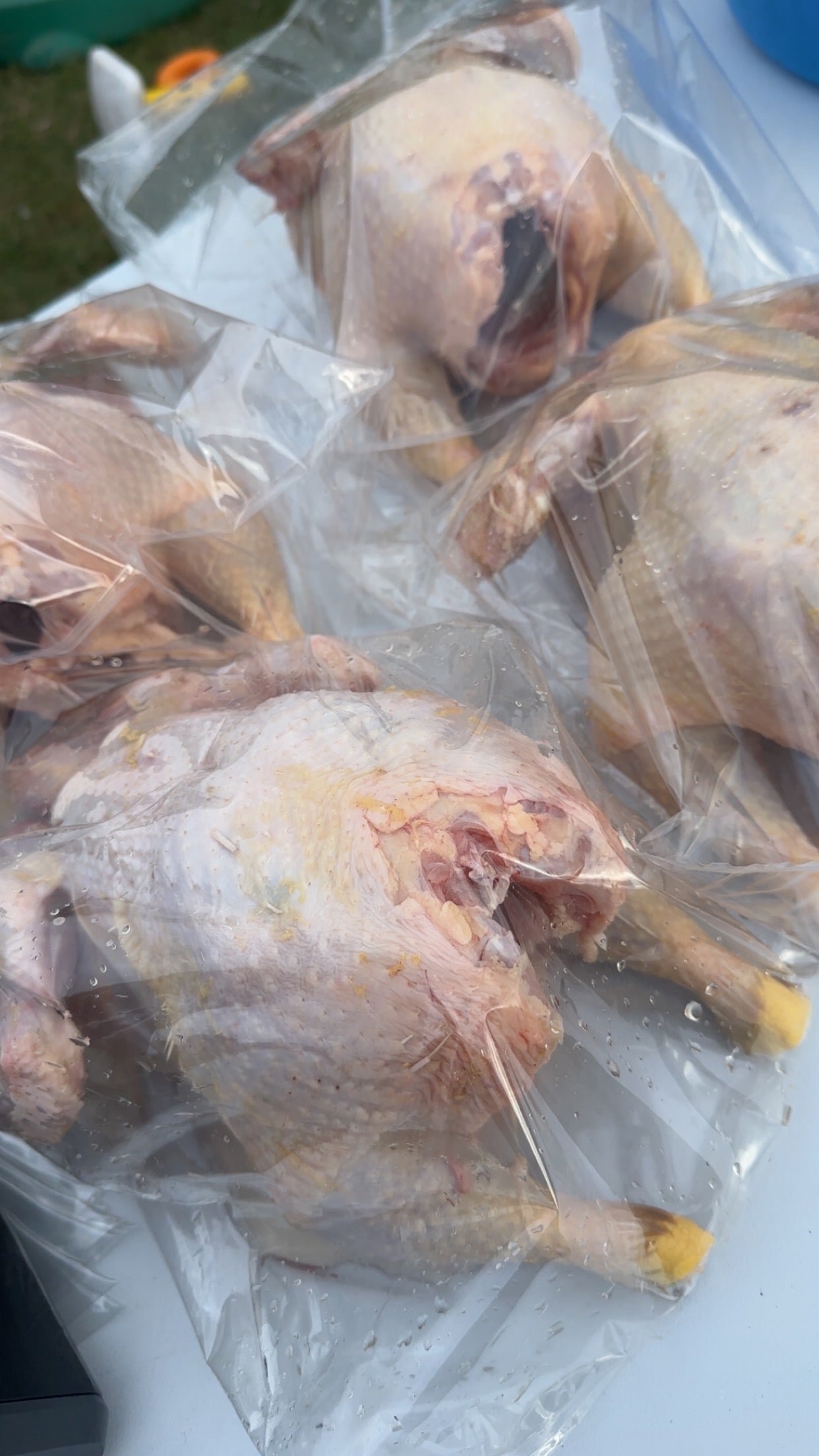 Whole Chicken